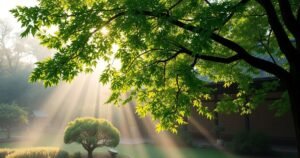 Understanding Nadimasaaie: A Comprehensive Guide to Modern Digital Innovation